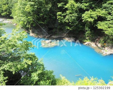 秋田の観光名所、新緑に包まれた抱返り渓谷 125302199