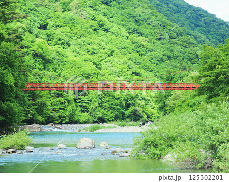 秋田の観光名所、新緑に包まれた抱返り渓谷 秋田の観光名所、新緑に包まれた抱返り渓谷 125302201