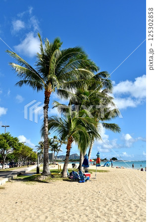 ハワイの休日 ハワイの休日 125302858