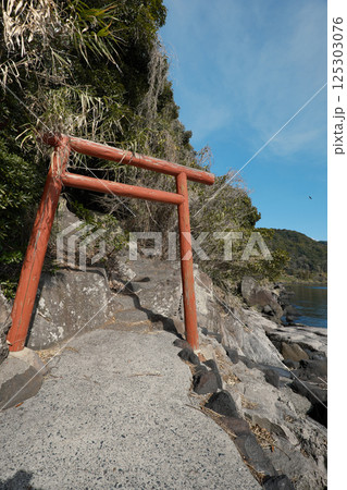 若尊神社の鳥居風景 若尊神社の鳥居風景 125303076