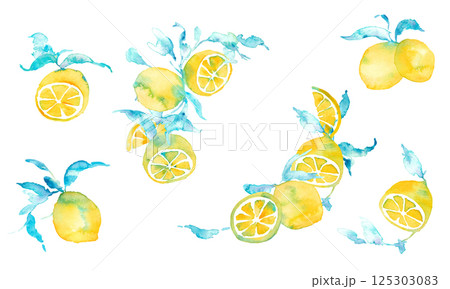 水彩のレモンイラスト。水彩画のレモンベクター素材。夏のレモン背景イラスト。 125303083