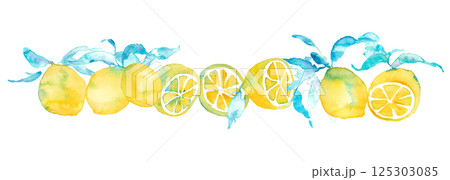 水彩のレモンイラスト。水彩画のレモンベクター素材。夏のレモン背景イラスト。 125303085
