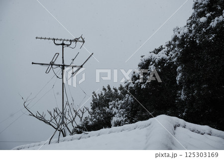 民家の屋根に積もる雪 民家の屋根に積もる雪 125303169