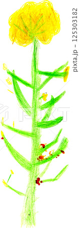 子供が描いた手書きの菜の花 125303182
