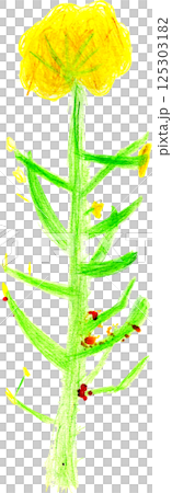 兒童手繪的油菜花 125303182