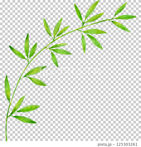 七夕竹葉插圖框架 125303261