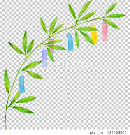 七夕の笹の葉のイラストフレーム 125303262