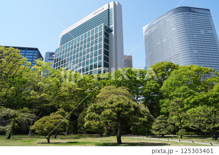 浜離宮恩賜庭園 125303401