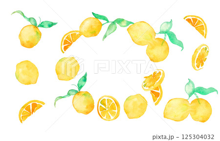 水彩のレモンイラスト。水彩画のレモンベクター素材。夏のレモン背景イラスト 125304032