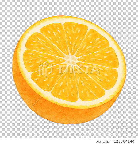 Watercolor illustration of orange cross section (vegetable) 125304144