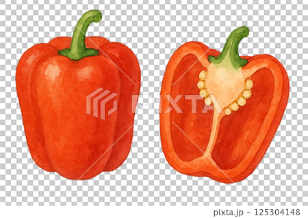 水彩で描いた断面付きの赤パプリカのイラスト（野菜） 125304148