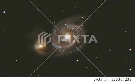 子持ち銀河 子持ち銀河 125304235
