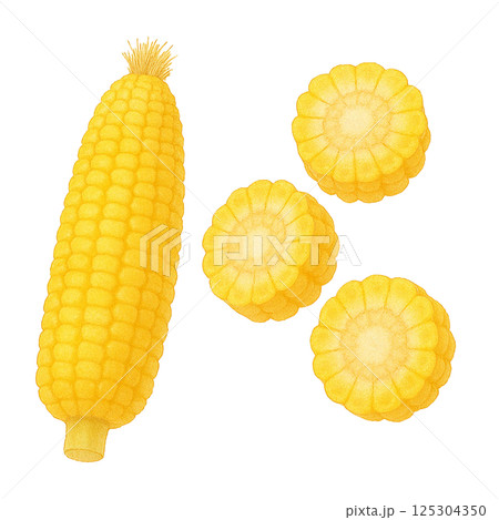 水彩で描いたトウモロコシと輪切りスライスのイラスト（野菜） 125304350