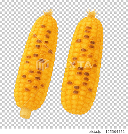 兩份烤玉米(蔬菜)的水彩插圖 兩份烤玉米(蔬菜)的水彩插圖 125304351