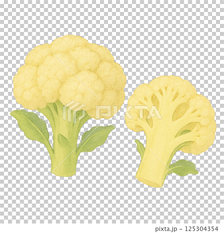 花椰菜及其橫切面(蔬菜)的水彩插圖 花椰菜及其橫切面(蔬菜)的水彩插圖 125304354