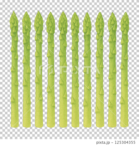 10 根蘆筍的水彩插圖(蔬菜) 10 根蘆筍的水彩插圖(蔬菜) 125304355