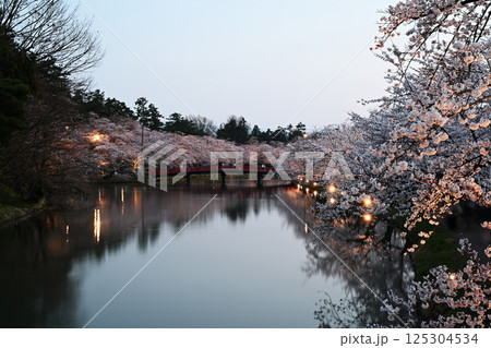 弘前公園の桜 125304534