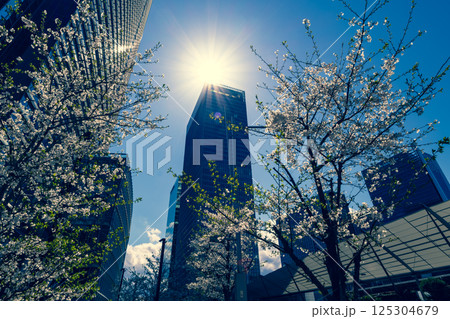 東京八重洲口周辺の桜咲く都市風景 2025.04　e-3 暖色寒色強調 125304679