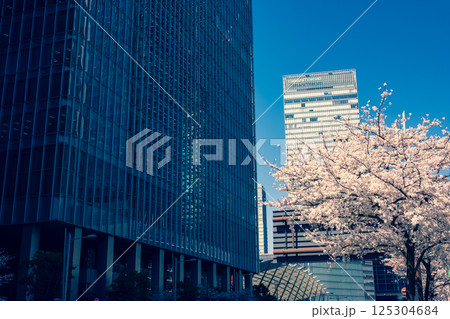 東京八重洲口周辺の桜咲く都市風景 2025.04　f-3 暖色寒色強調 125304684