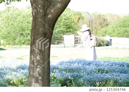 奈良県馬見丘陵公園のネモフィラ 125304746