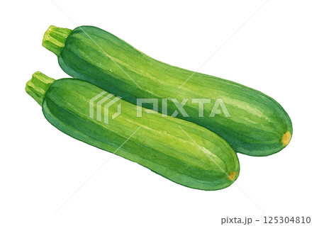 水彩で描いたズッキーニ2本のイラスト（野菜） 125304810
