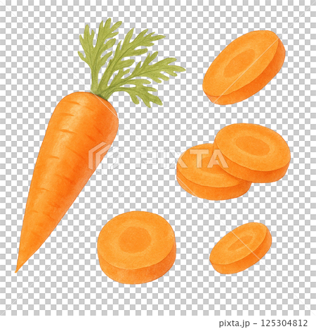水彩で描いたにんじんと輪切り素材（野菜） 125304812