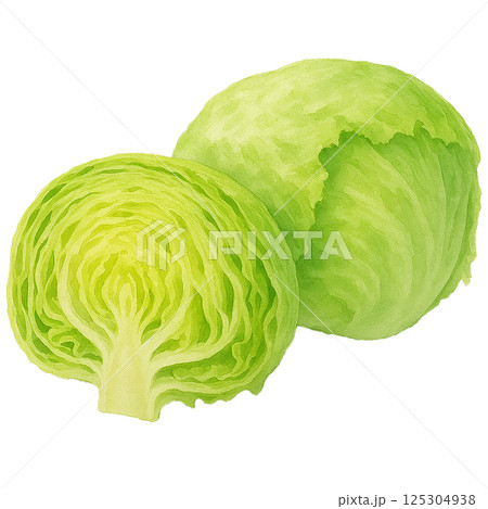 水彩で描いたレタスの断面と丸ごと素材（野菜） 125304938