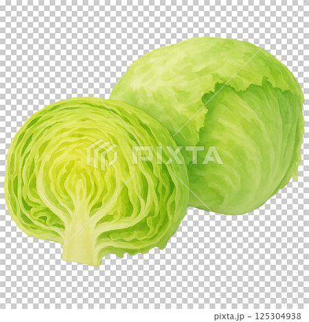 水彩で描いたレタスの断面と丸ごと素材（野菜） 125304938
