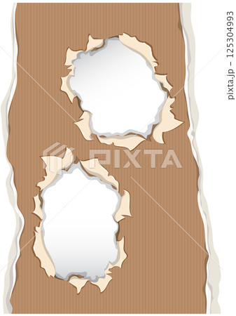 Torn Paper Frame Vector Illustration Torn Paper Frame Vector Illustration 125304993