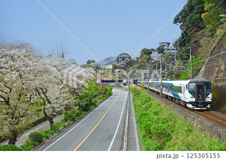 伊東線 網代-伊豆多賀 JR東日本 E257系2000番台 NA-09編成(大宮) 踊り子 伊東線 網代-伊豆多賀 JR東日本 E257系2000番台 NA-09編成(大宮) 踊り子 125305155