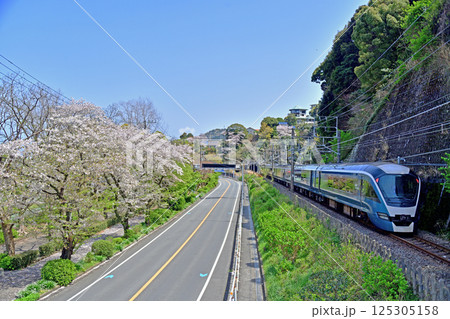 伊東線 網代-伊豆多賀 JR東日本 E261系 RS2編成(大宮) サフィール踊り子 伊東線 網代-伊豆多賀 JR東日本 E261系 RS2編成(大宮) サフィール踊り子 125305158