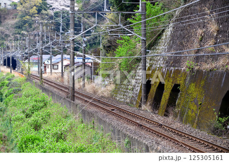 伊東線　網代－伊豆多賀　JR東日本 125305161