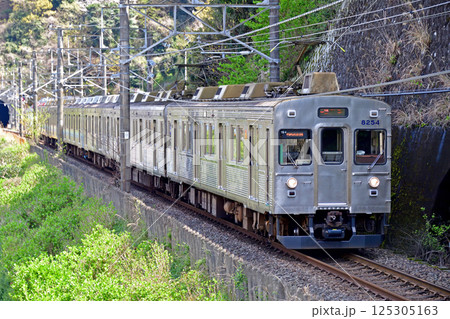 伊東線　網代－伊豆多賀　伊豆急　8000系　TB-4編成 125305163