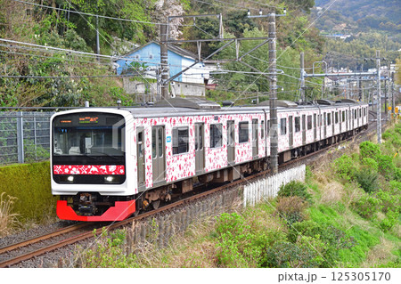 伊東線　伊豆多賀－網代　伊豆急　3000系　Y1編成　アロハ電車 125305170