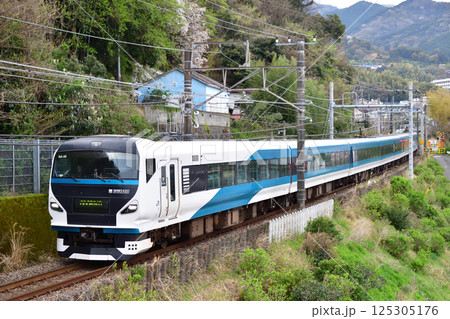 伊東線　伊豆多賀－網代　JR東日本　E257系2000番台　NA-06編成（大宮）　踊り子 125305176