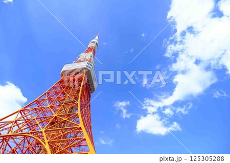 【東京】東京タワー 125305288