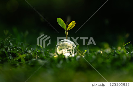 Earth Day concept of nature and protecting the world and preserving nature and the environment sustainably. Earth Day concept of nature and protecting the world and preserving nature and the environment sustainably. 125305935