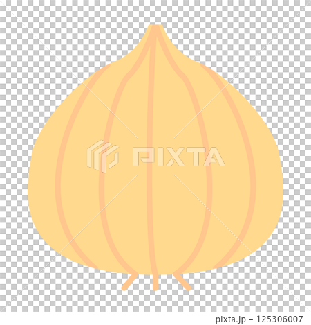 柔らかい色の野菜イラスト　玉ねぎ 125306007