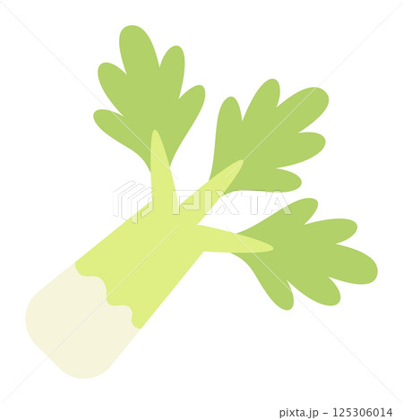 柔らかい色の野菜イラスト　セロリ 125306014