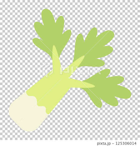 柔らかい色の野菜イラスト　セロリ 125306014