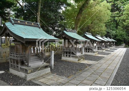 ちいさな祠摂社列 ちいさな祠摂社列 125306054