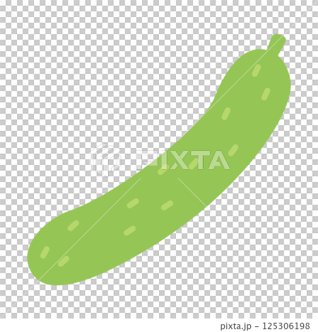 Soft color vegetable illustration: Cucumber 125306198