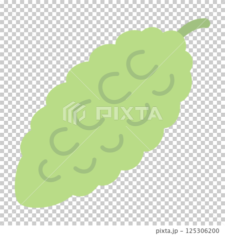Soft colored vegetable illustration: bitter melon 125306200
