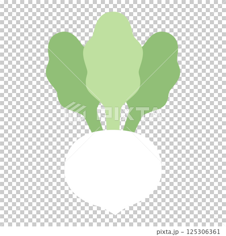 Soft colored vegetable illustration: Turnip 125306361