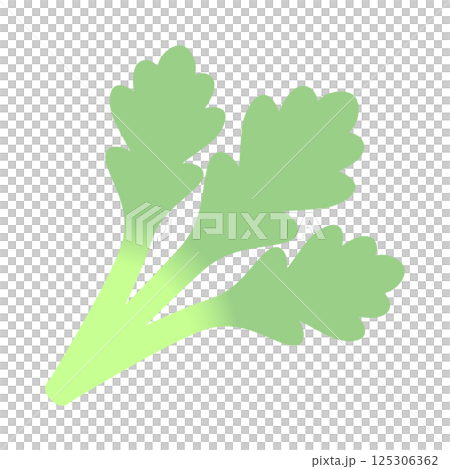 Soft color vegetable illustration: Shungiku Soft color vegetable illustration: Shungiku 125306362