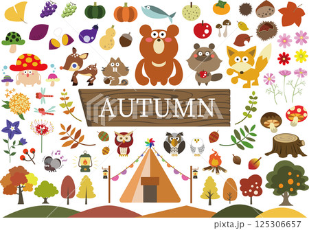 AUTUMNかわいい秋のイラスト素材セット 125306657