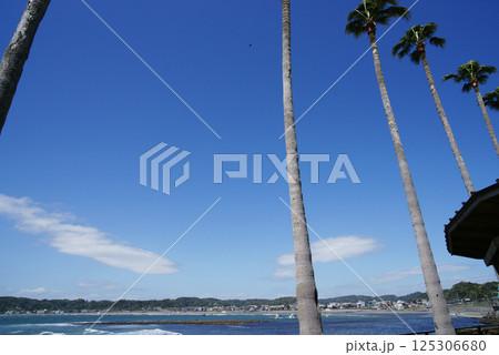 逗子市 小坪飯島公園からの和賀江島 逗子市 小坪飯島公園からの和賀江島 125306680
