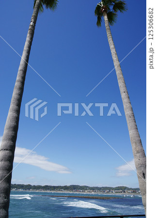 逗子市 小坪飯島公園からの和賀江島 逗子市 小坪飯島公園からの和賀江島 125306682