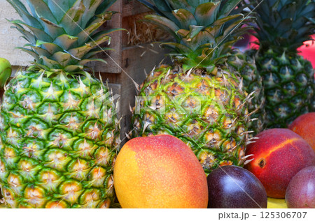 トロピカルフルーツ 125306707
