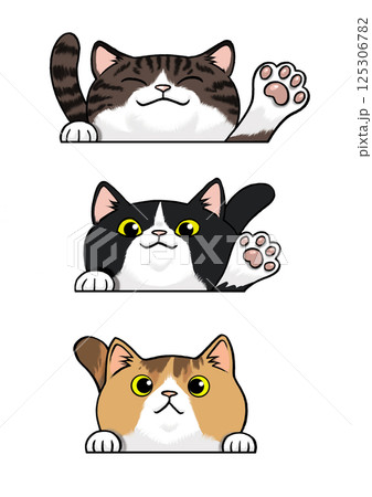 可愛いすぎる猫 125306782